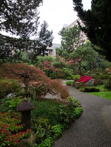 a path leads you into one of the Kubota Gardens on campus