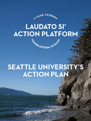 Laudato Si