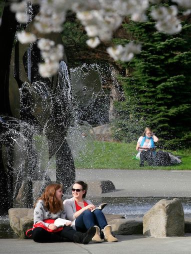 Students read by the fountain