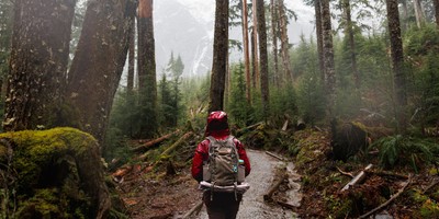 Hiking picture of a student in the woods