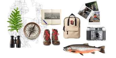 Summer adventure image collage