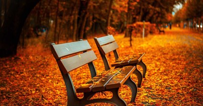 bench