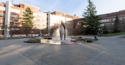 Winter at the fountain