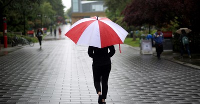 A person walks away on a wet pavement, holding a red and white umbrella, with trees and a misty atmosphere surrounding the area.