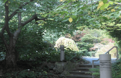 Biodiversity Garden