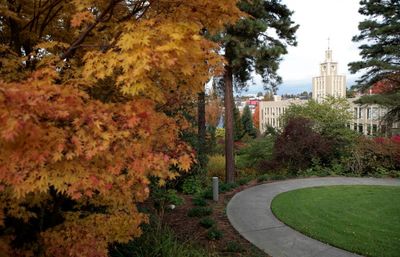 Fall trees with Administration Building in background
