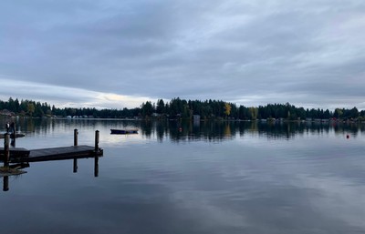 beautiful scenery of lake with trees in the background