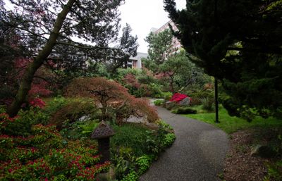 a path leads you into one of the Kubota Gardens on campus