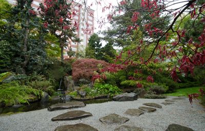 a waterfall and stone pathways at the Seattle University Kubota Gardens