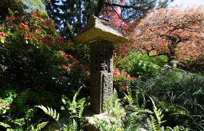 a stone sculpture amidst ferns and Japanese maples at the SU Kubota Gardens
