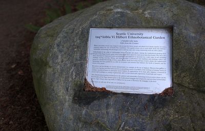 garden sign embedded in a rock at the Ethnobotanical Garden