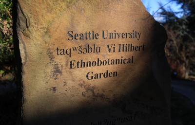 rock engraved with Vi Hilbert Ethnobotanical Garden information