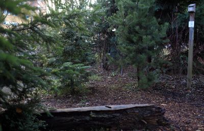 Bench and mason bee house at the Ethnobotanical Garden