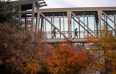Students Crossing Cherry Street Bridge