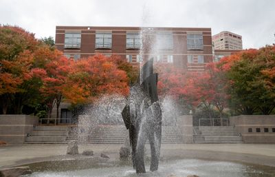 Fall trees behind the Quad fountain