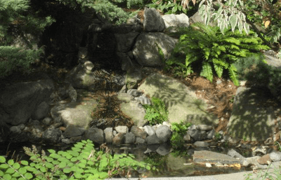 Biodiversity Garden