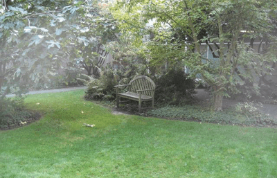 Biodiversity Garden