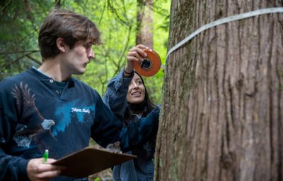 Seattle University undergraduate students measuring and survey tree density