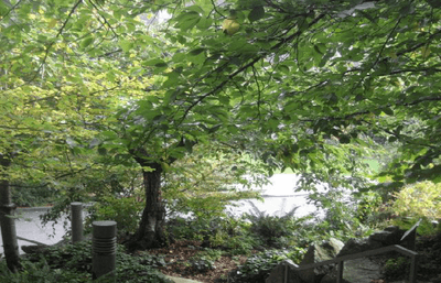 Biodiversity Garden