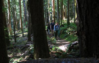 students hiking