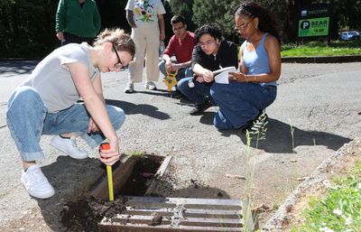 A student holds a measuring tape down into a storm drain as other students take notes