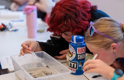 Students in the lab on campus