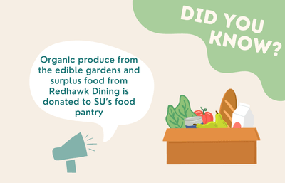 Organic produce from the edible gardens and surplus food from Redhawk Dining is donated to 91̽��’s food pantry