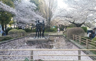 Japanese garden