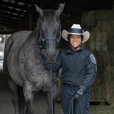A police officer with a horse