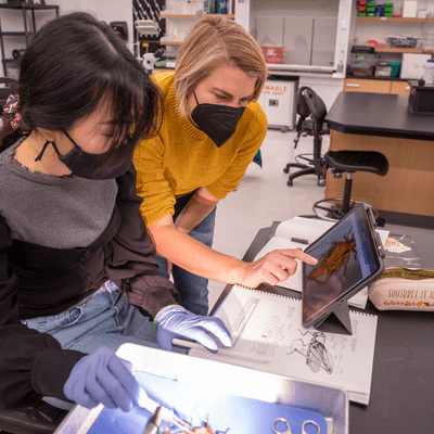 Teacher and student examine insect