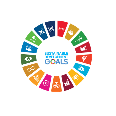 Graphic representing the UN's 17 Sustainable Development Goals