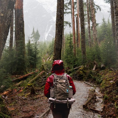 Student hiking in the woods