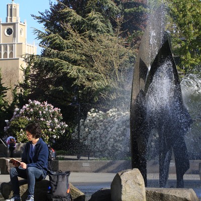 A student reading a book by the centennial fountain