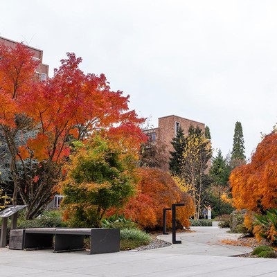 A park with trees and benches in the fall.