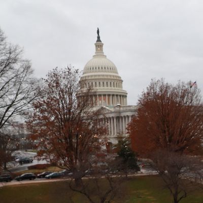 US Capitol in Washington DC