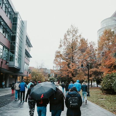 A group of people walking on a sidewalk with umbrellas.