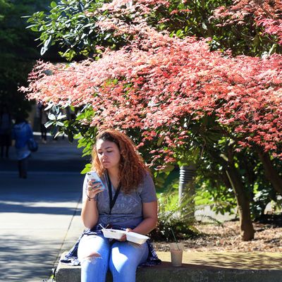 Woman sitting in front of fall foliage