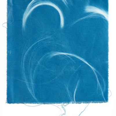 hair strands on a blue background