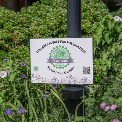 a picture that says the plants are safe for pollinators