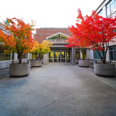 The west entrance of the Albers School of Business and Economics flanked by two red maple trees.