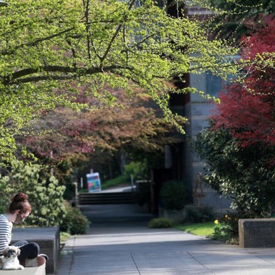 A woman is sitting on a bench in a park.