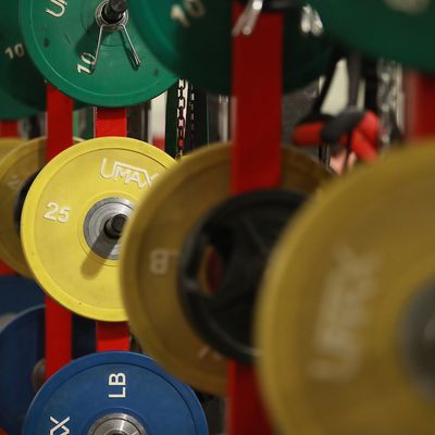 A rack of weight plates