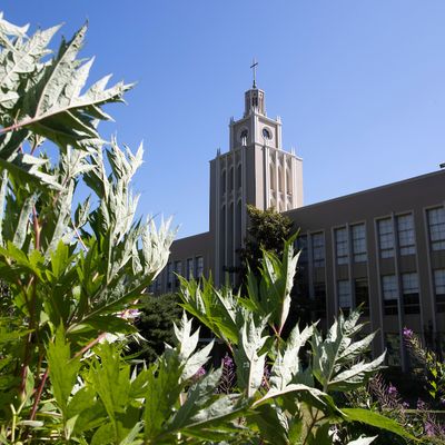 Admin Building Leaves