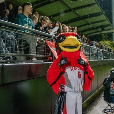 Mascot - Rudy