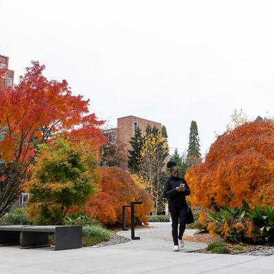 A student walking on campus