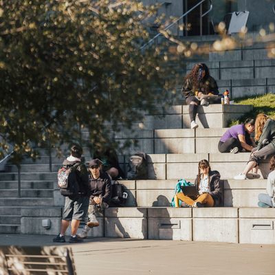 Students sitting on large steps