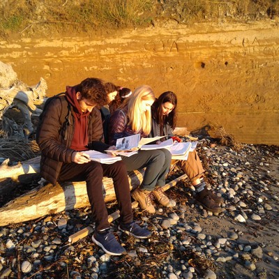 Students sitting on a tree branch