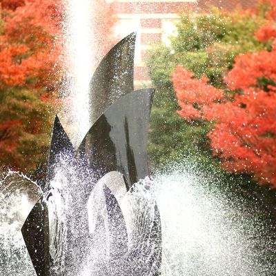 fountain with colorful fall trees in background