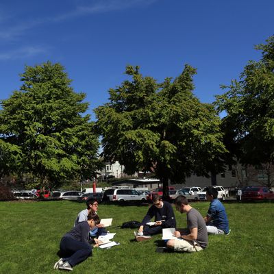 Students sitting on grass