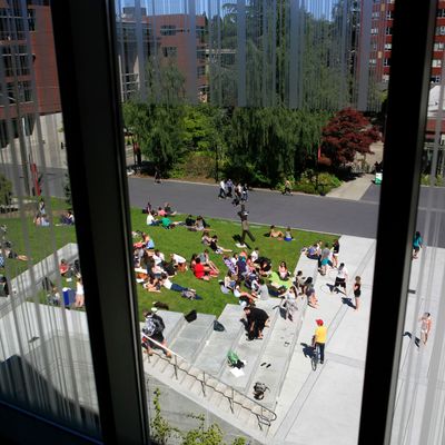 Students in the quad from above